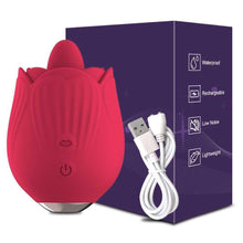 Load image into Gallery viewer, Vibrator