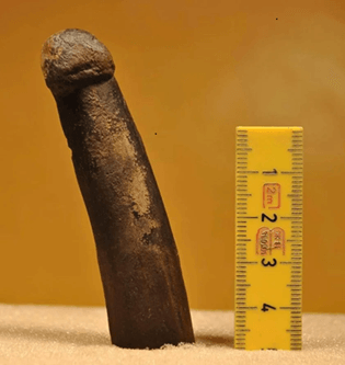 The Dildo: Tracing Its Evolution from Ancient Times to Now